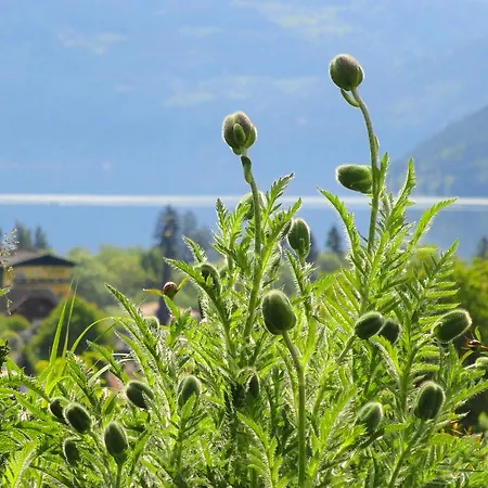 Egger Domek alpejski