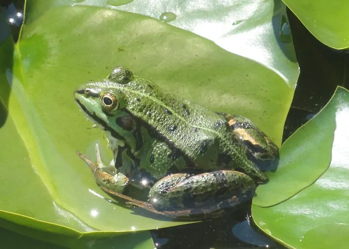 Egger Seeboden am Millstätter See