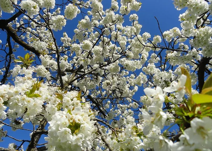 Landhaus Egger Chalet *