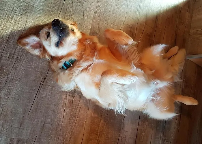 Chalet Egger Seeboden am Millstätter See